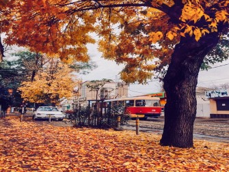 Осень в Краснодаре