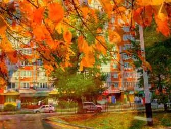 Осень в Краснодаре